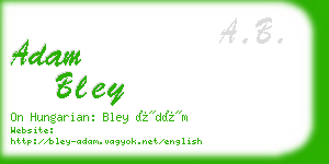 adam bley business card